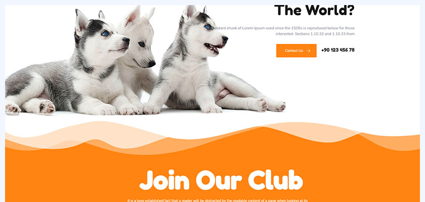 Dogi-Pet-Animals-and-Dog-Grooming-Business-WordPress-Theme