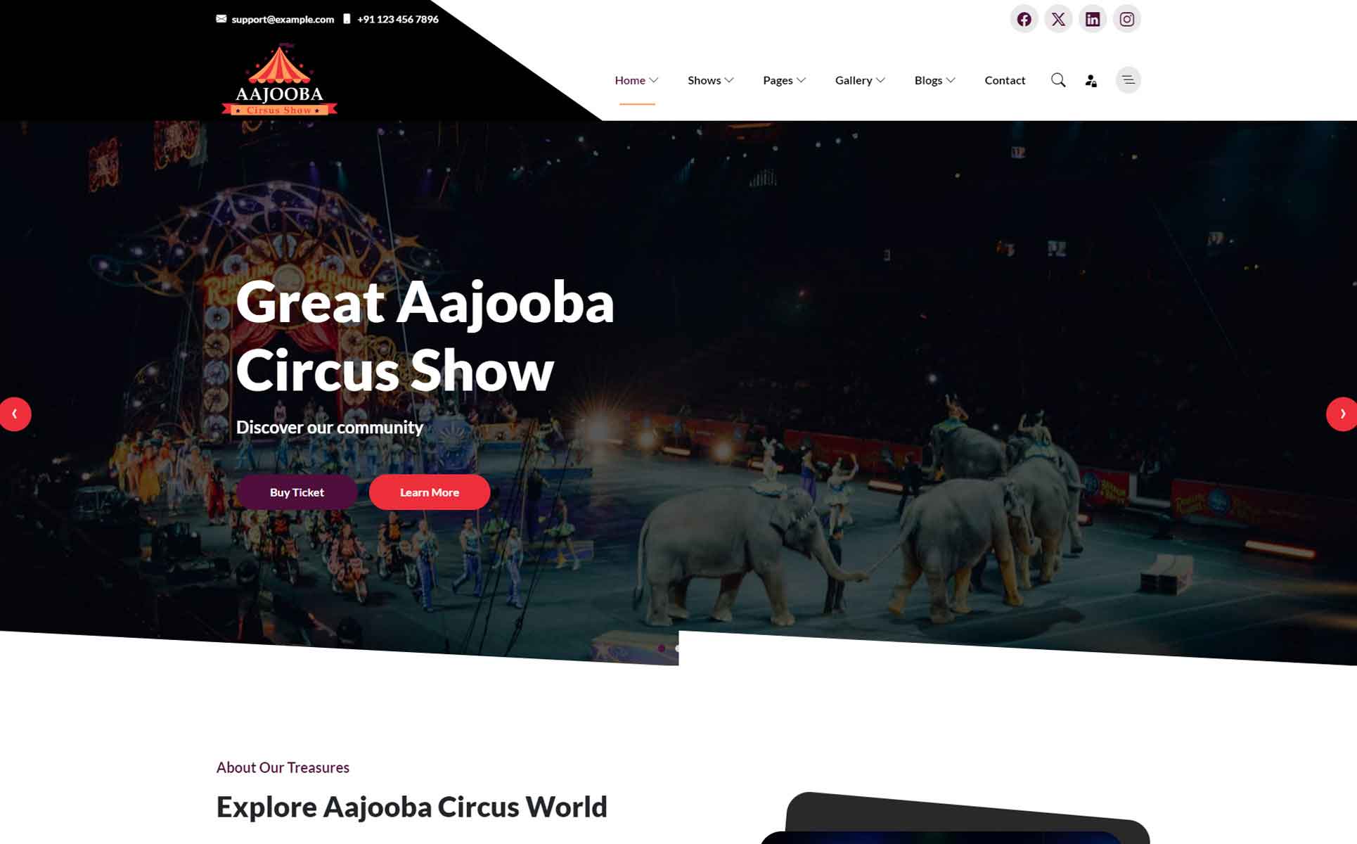 Aajooba - Circus HTML5 Website Template