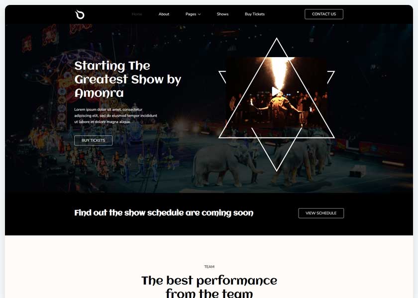 Amonra-Circus-Show-WordPress-Theme