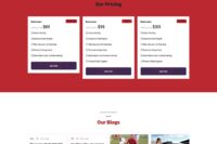 TeamScoccer's - Scoccer Club & Sports Landing Page Template - Image 6