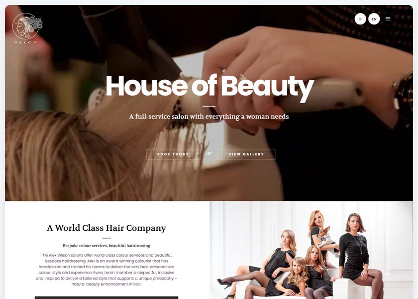 SALON---WordPress-Theme-for-Hair-&-Beauty-Salons