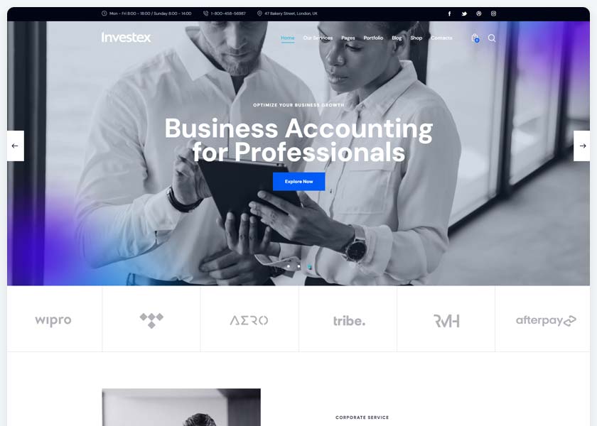 Investex-Corporate-&-Accounting-Theme