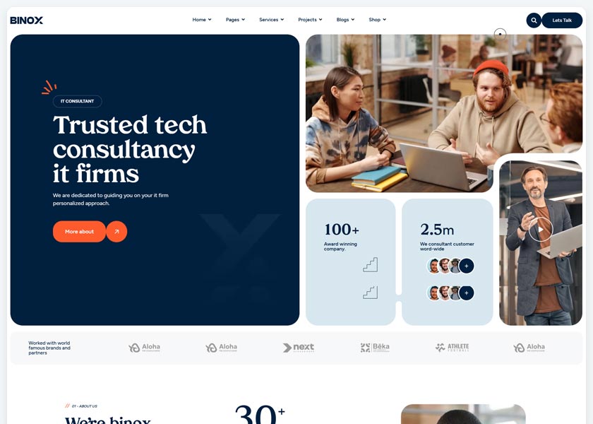 Binox---Business-Consulting-Theme