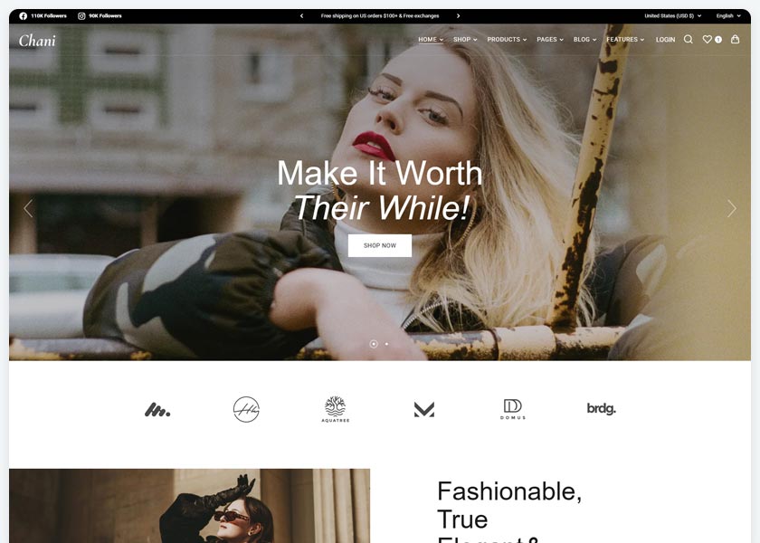 Chani-Fashion-And-Clothing-Store-Theme