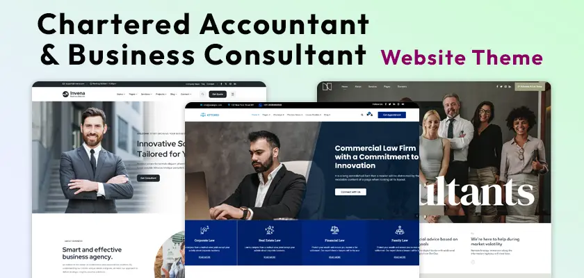 Chartered-Accountant-and-Business-Consultant-Website-Theme
